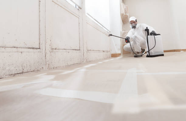 24/7 Emergency Mold Remediation experts in Urbanna, VA